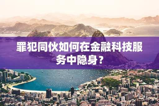 罪犯同伙如何在金融科技服务中隐身？