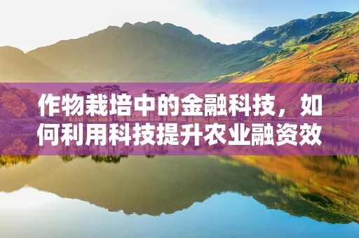 作物栽培中的金融科技，如何利用科技提升农业融资效率？