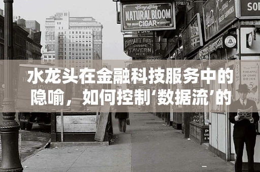 水龙头在金融科技服务中的隐喻，如何控制‘数据流’的‘开与关’？