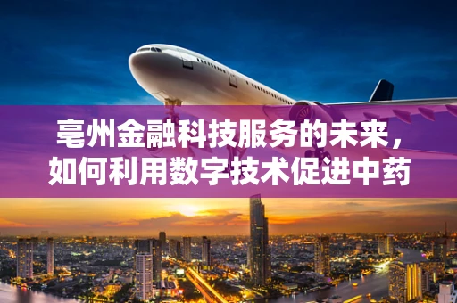 亳州金融科技服务的未来，如何利用数字技术促进中药材产业升级？
