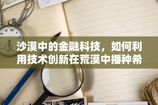 沙漠中的金融科技，如何利用技术创新在荒漠中播种希望？