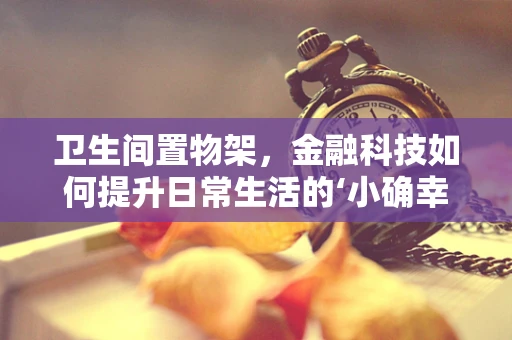 卫生间置物架，金融科技如何提升日常生活的‘小确幸’？