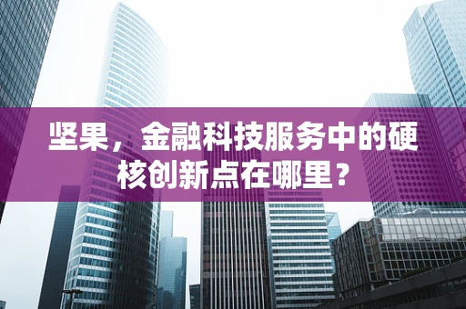 坚果，金融科技服务中的硬核创新点在哪里？