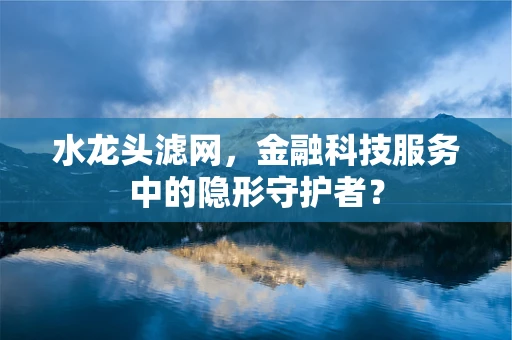 水龙头滤网，金融科技服务中的隐形守护者？