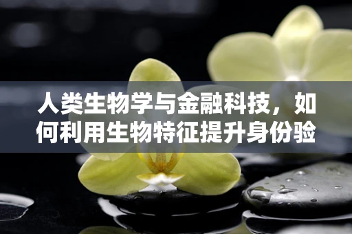 人类生物学与金融科技，如何利用生物特征提升身份验证的安全性？