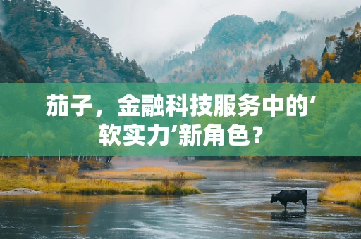 茄子，金融科技服务中的‘软实力’新角色？