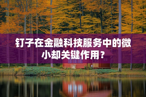 钉子在金融科技服务中的微小却关键作用？