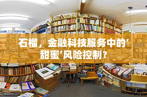 石榴，金融科技服务中的‘甜蜜’风险控制？