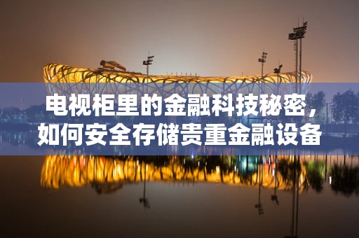 电视柜里的金融科技秘密，如何安全存储贵重金融设备？