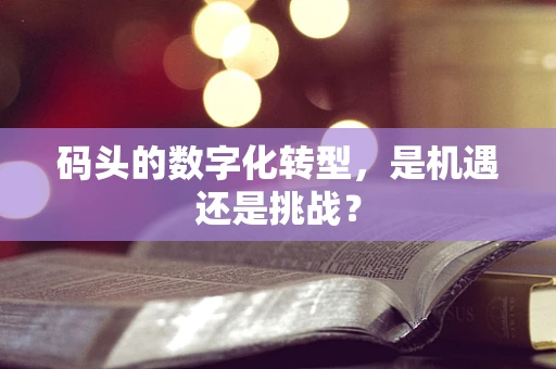 码头的数字化转型，是机遇还是挑战？