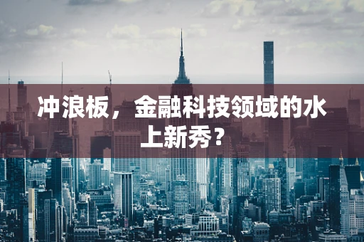 冲浪板，金融科技领域的水上新秀？