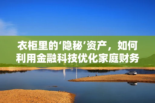 衣柜里的‘隐秘’资产，如何利用金融科技优化家庭财务管理？