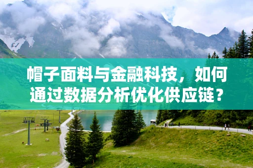 帽子面料与金融科技，如何通过数据分析优化供应链？