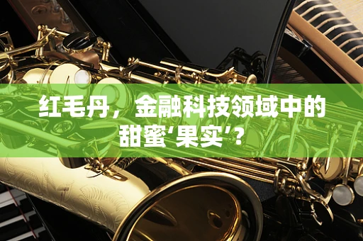 红毛丹，金融科技领域中的甜蜜‘果实’？