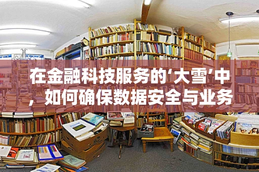 在金融科技服务的‘大雪’中，如何确保数据安全与业务连续性？