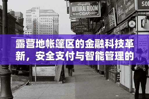 露营地帐篷区的金融科技革新，安全支付与智能管理的新篇章？