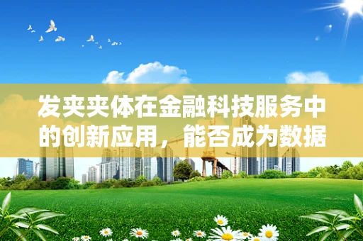 发夹夹体在金融科技服务中的创新应用，能否成为数据安全的隐形守护者？