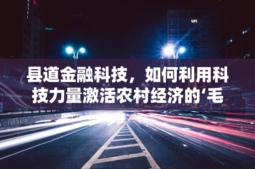 县道金融科技，如何利用科技力量激活农村经济的‘毛细血管’？