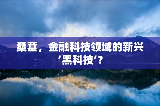 桑葚，金融科技领域的新兴‘黑科技’？