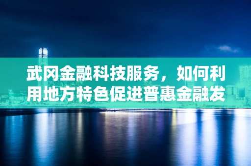 武冈金融科技服务，如何利用地方特色促进普惠金融发展？