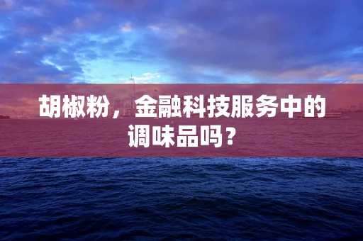胡椒粉，金融科技服务中的调味品吗？