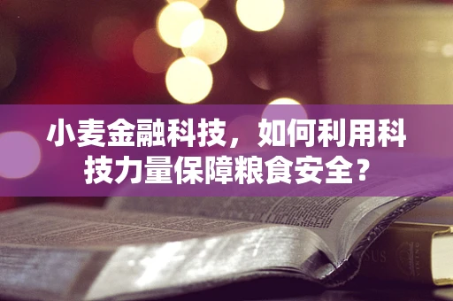 小麦金融科技，如何利用科技力量保障粮食安全？