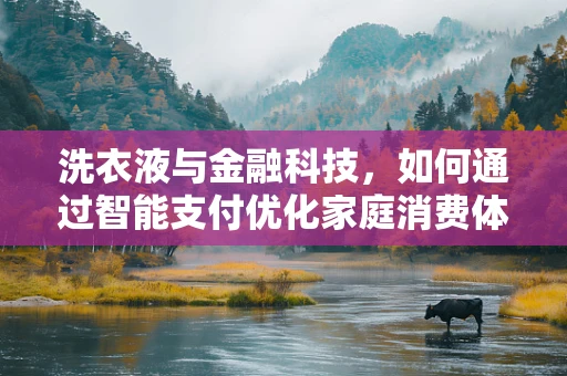 洗衣液与金融科技，如何通过智能支付优化家庭消费体验？