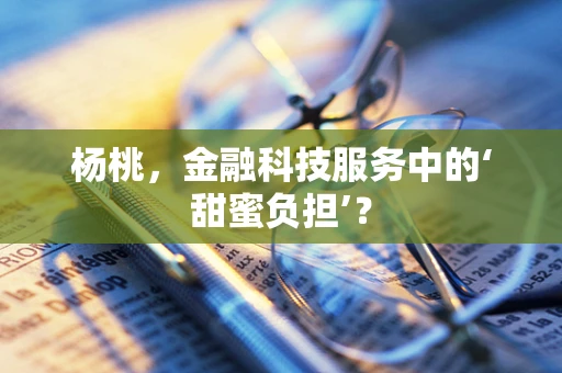 杨桃，金融科技服务中的‘甜蜜负担’？