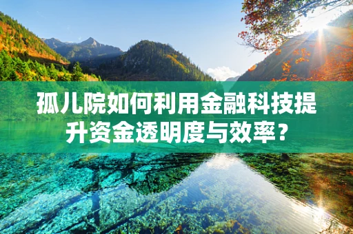 孤儿院如何利用金融科技提升资金透明度与效率？