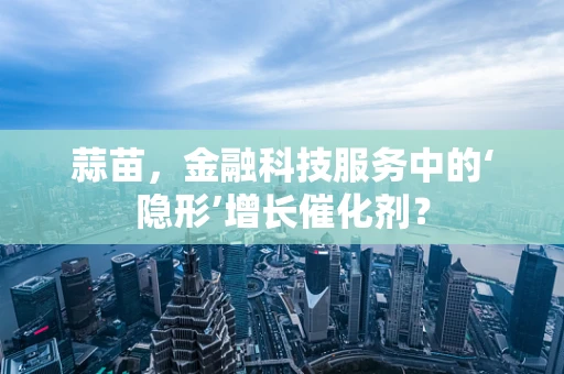 蒜苗，金融科技服务中的‘隐形’增长催化剂？