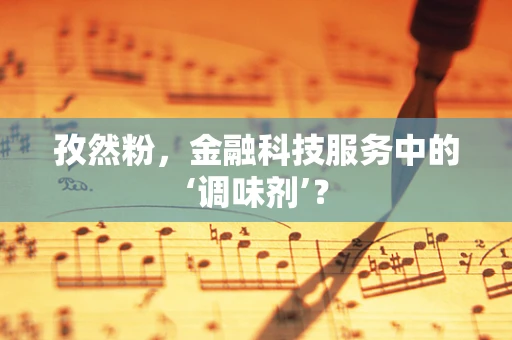 孜然粉，金融科技服务中的‘调味剂’？