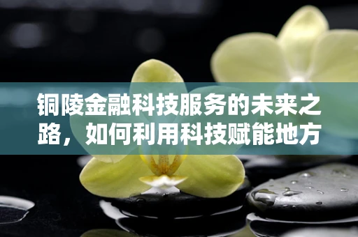 铜陵金融科技服务的未来之路，如何利用科技赋能地方经济？